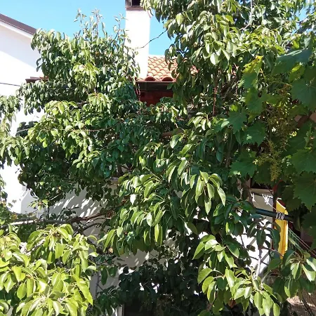 Antares Mali Lošinj