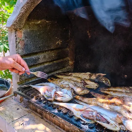 Antares Мали-Лошинь