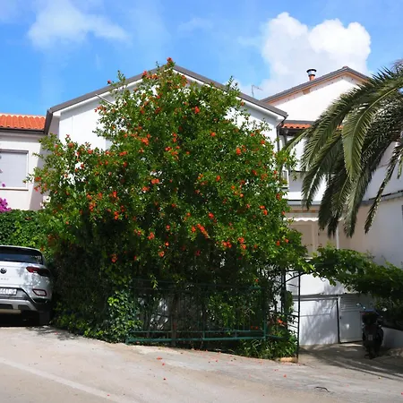 Antares Мали-Лошинь