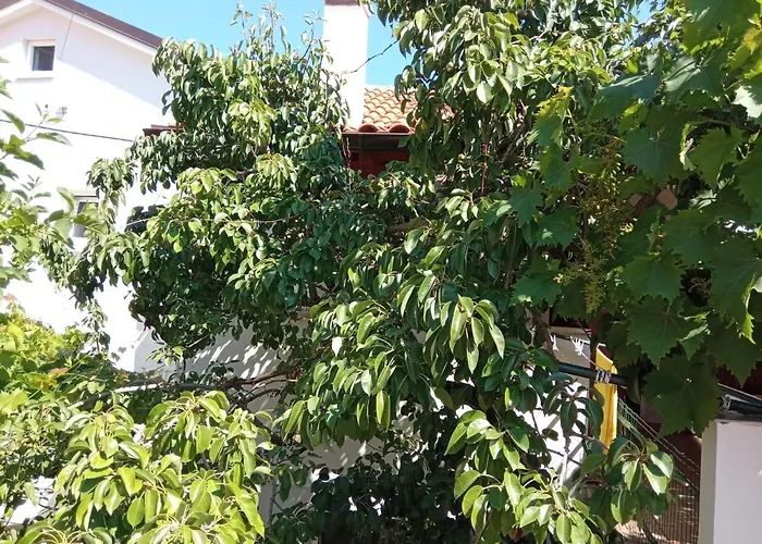 Antares Mali Lošinj